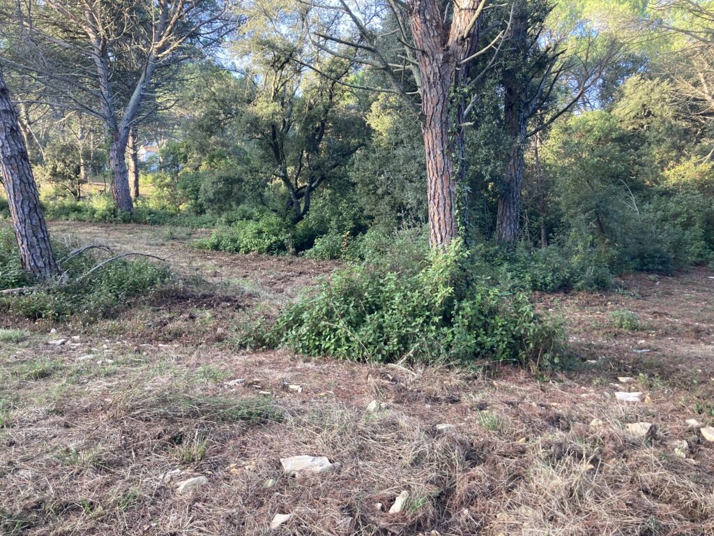 Photo avant chantier decembre 2025 vers la Draille Nord