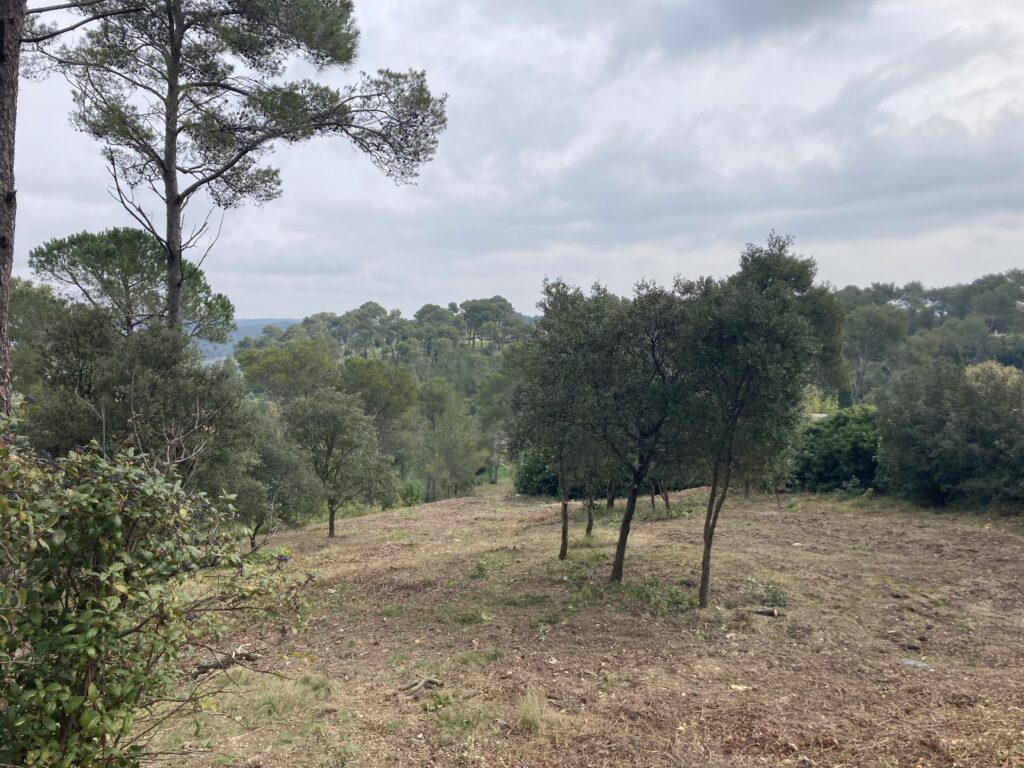 Résultat du débroussaillement des 21 et 22 mars 2026 au Coin du Loup.