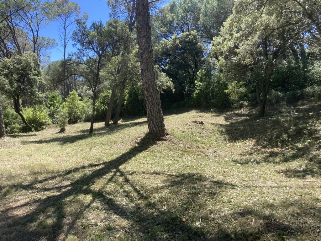 Photo 5 du 11eme chantier 2025/2026